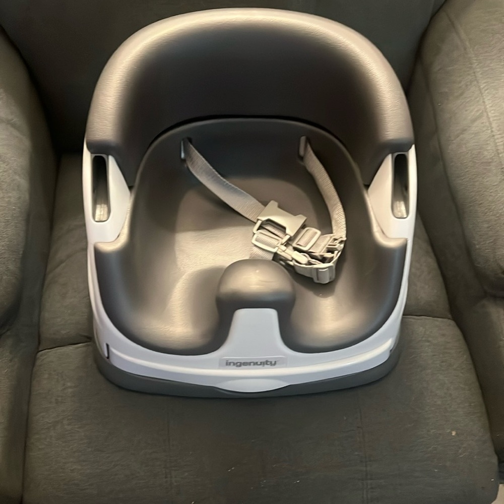 Ingenuity booster seat